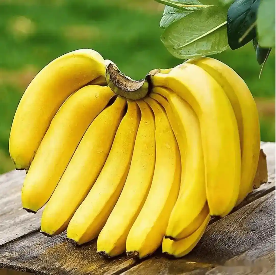 BANANA JUICE POWDER